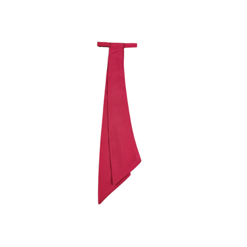 Senior Girls Tie