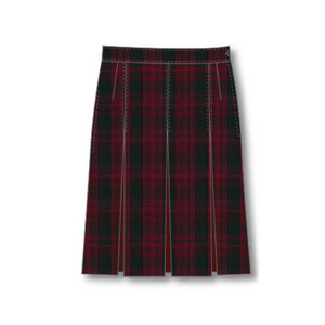 Winter Skirt