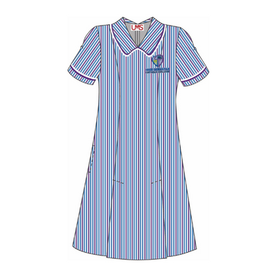 Primary Dress