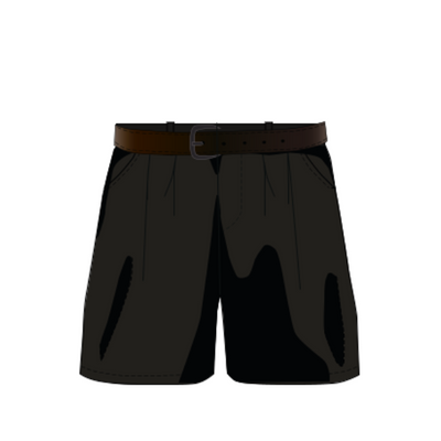 Formal Shorts