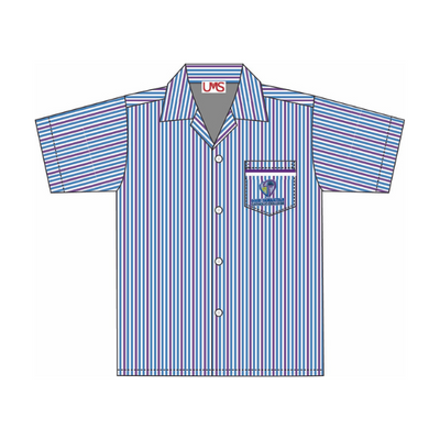 Shirt Primary Stripe