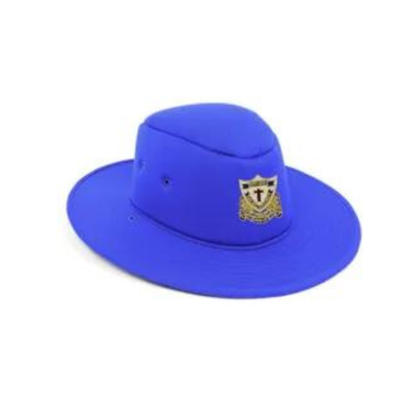 Foam Hat Royal