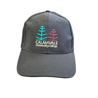 Secondary Baseball Cap