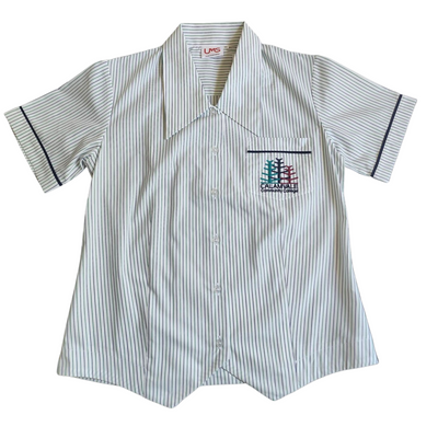 Junior Secondary Blouse