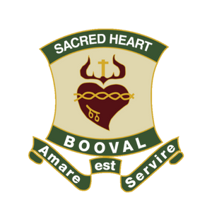 SHP School Bag