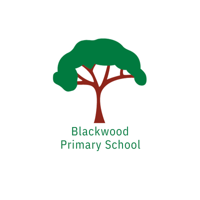 PRE-ORDER 2026 - Senior Jumper