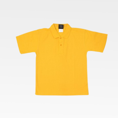 House Polo Gold