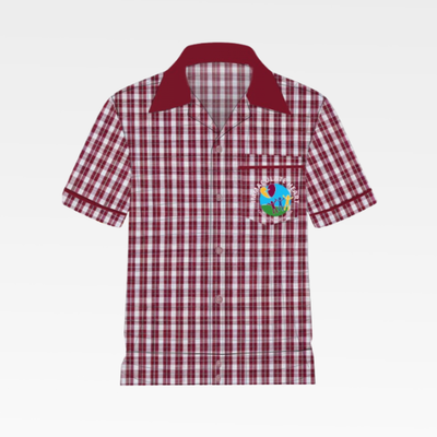 Check Blouse