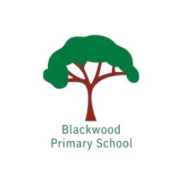 PRE-ORDER 2026 - Senior Polo