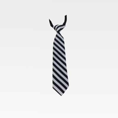 Senior Girls Tie