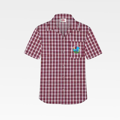 Formal Check Shirt (Boys)