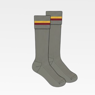 Long Formal Socks