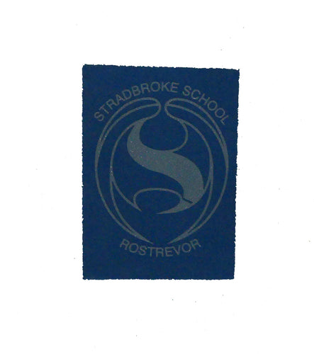 STD Iron On Logo Sky Blue