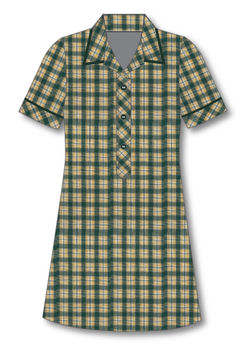 MS Summer Dress